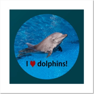 Dolphin Posters and Art